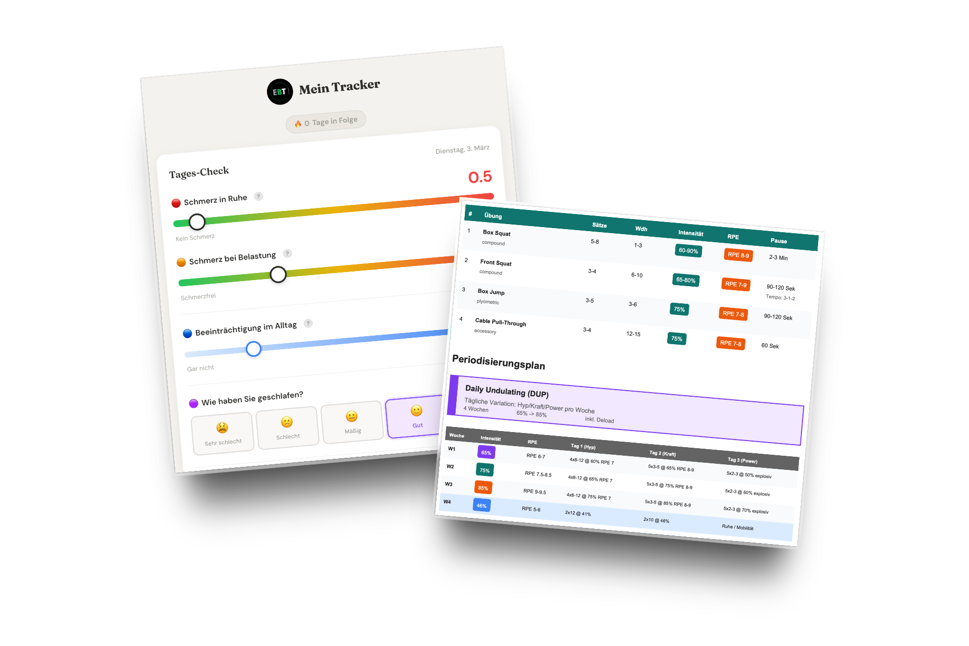 Digitales Assessment und Trainingsplan CDSS